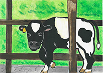 小山　天寧（赤磐市立山陽北小学校6年）